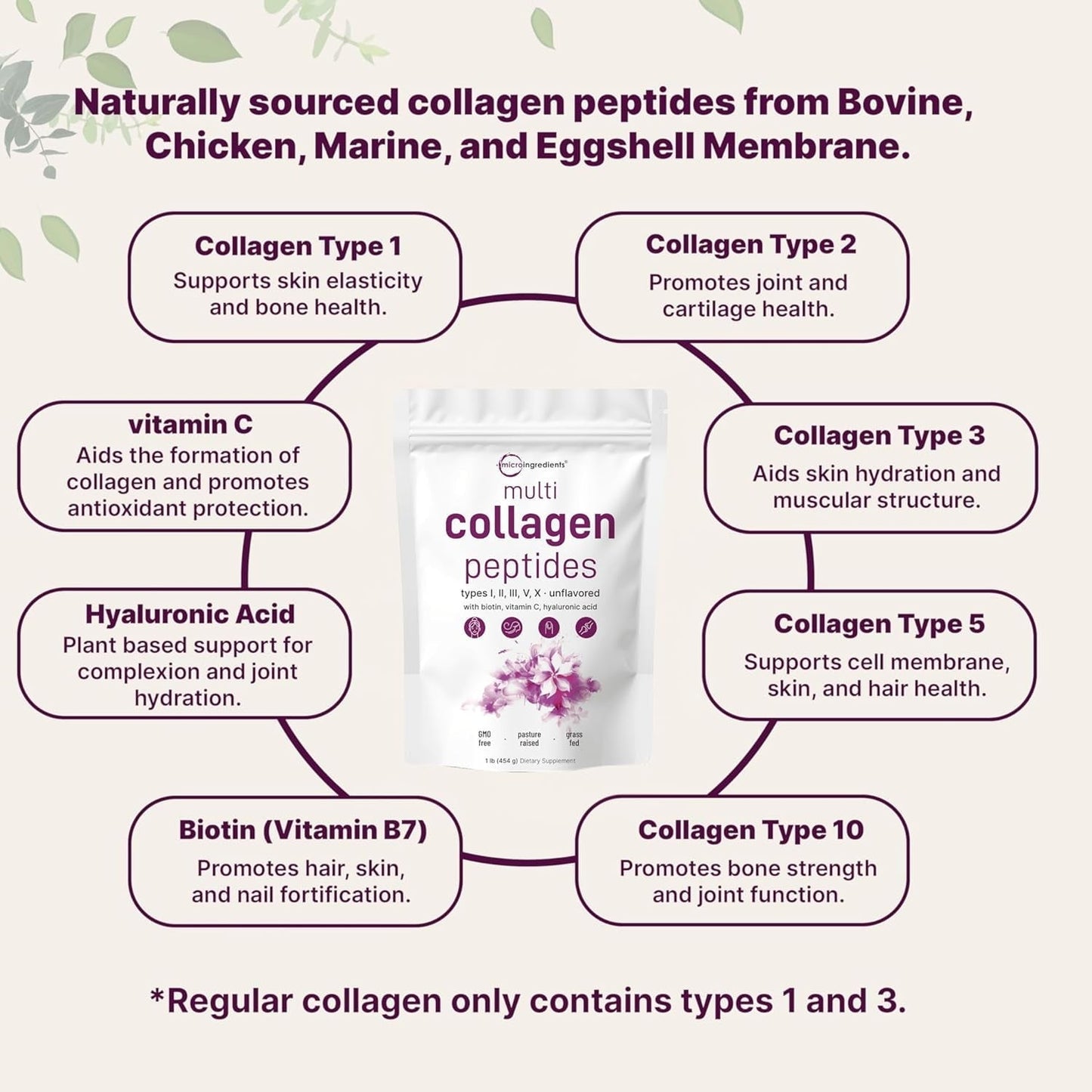 Micro Ingredients Multi Collagen Protein Powder, 1lb | Type I,II,III,V,X with Biotin, Hyaluronic Acid, Vitamin C - Unflavored Collagen Peptides
