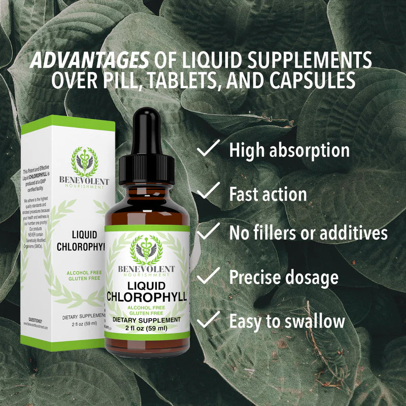 Benevolent Nourishment, Liquid Chlorophyll- Alcohol Free-2 fl oz-Shop