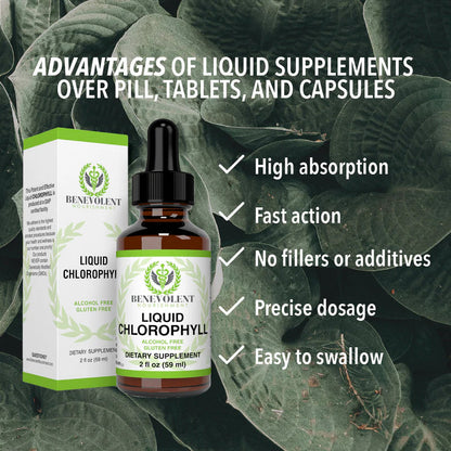 Benevolent Nourishment, Liquid Chlorophyll- Alcohol Free-2 fl oz-Shop