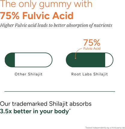 10-in-1 Shilajit Gummies (4000mg)|Tongkat Ali, Maca, 75% Fulvic Acid | Sugar-Free & Vegetarian1.