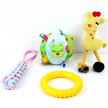BELO 4-Pack Dog Toy Set – Chew, Squeaky & Interactive