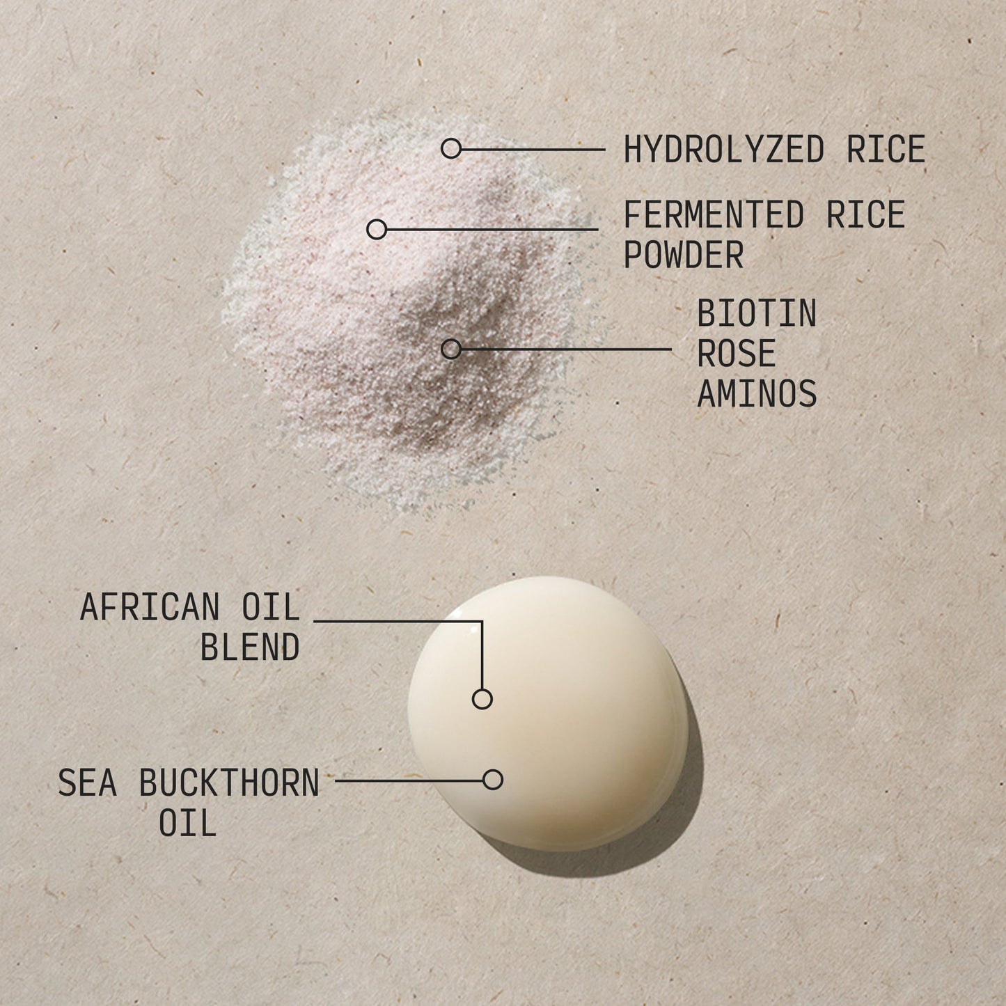 Fermented Rice and Rose Bundle