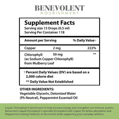 Benevolent Nourishment, Liquid Chlorophyll- Alcohol Free-2 fl oz-Shop