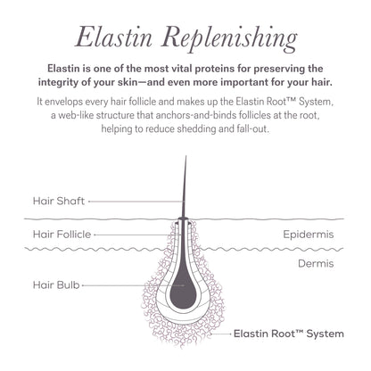 Solution Serum System