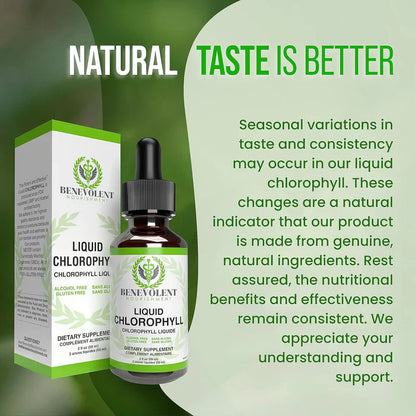 Benevolent Nourishment, Liquid Chlorophyll- Alcohol Free-2 fl oz-Shop