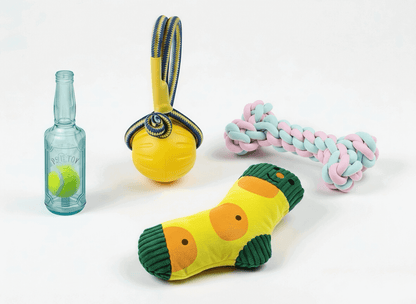 BELO 4-Pack Dog Toy Set – Chew, Squeaky & Interactive
