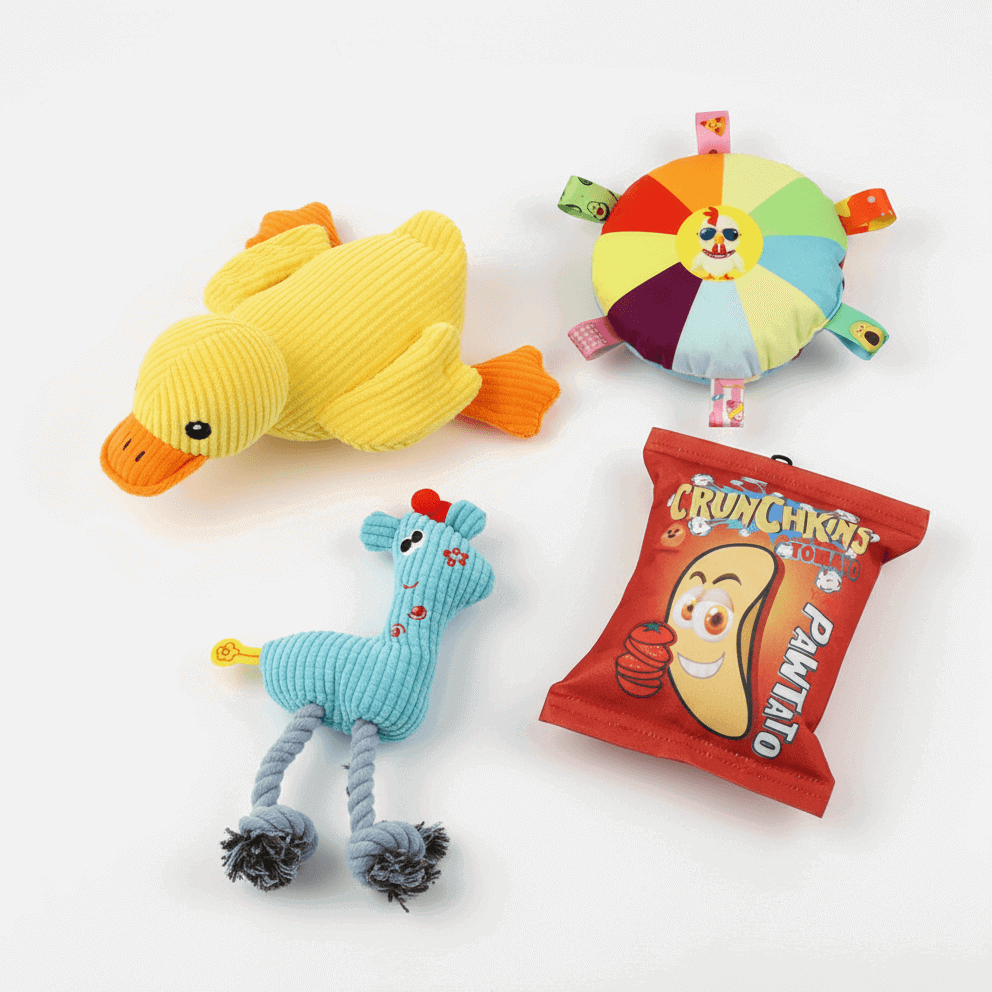 BELO 4-Pack Dog Toy Set – Chew, Squeaky & Interactive