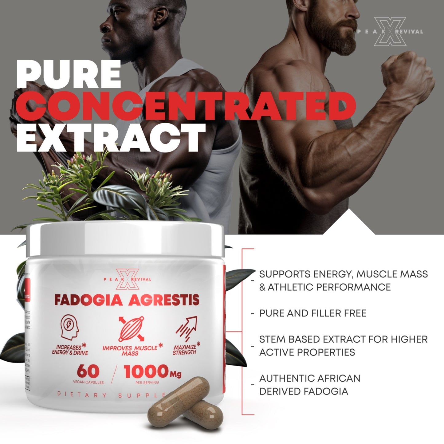 Peak Revival-X Fadogia Agrestis – 1000mg Botanical Extract – 60 Vegan Capsules